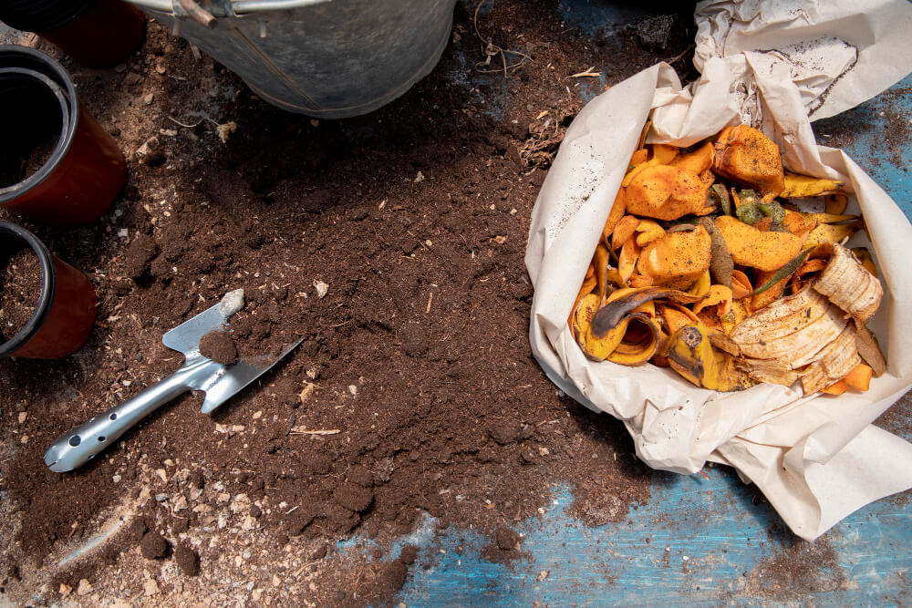 compost-still-life-concept (1)