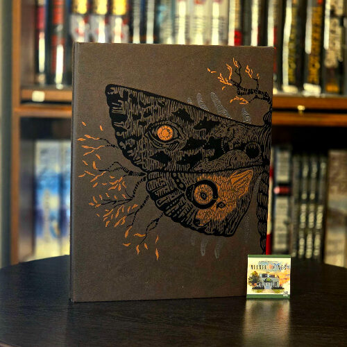 Sleeping Beauties CD Limited Edition Art Portfolio #735